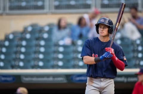 MINNEAPOLIS, MN- AUGUST 24: Jarred Kelenic #11 of the USA Baseball 18U National Team bats during the national team trials on August 24, 2017 at Target Field in Minneapolis, Minnesota. (Photo by Brace Hemmelgarn/Getty Images)