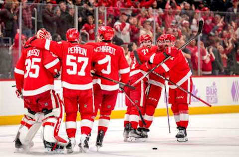 Detroit Red Wings (Photo by Nic Antaya/Getty Images)