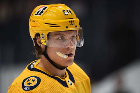 Nashville Predators (Photo Credit: Christopher Hanewinckel-USA TODAY Sports)