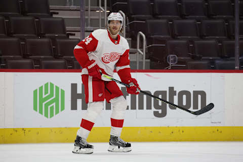 DETROIT, MICHIGAN – FEBRUARY 20: Jon Merrill #24 of the Detroit Red Wings s . (Photo by Gregory Shamus/Getty Images)