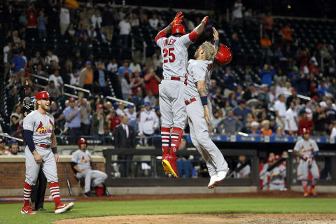 (Photo by Rob Tringali/MLB Photos via Getty Images)