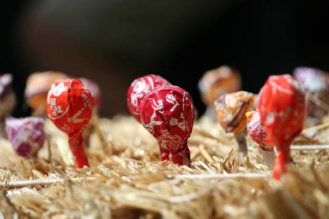 Tootsie Pops in a bale of hay.