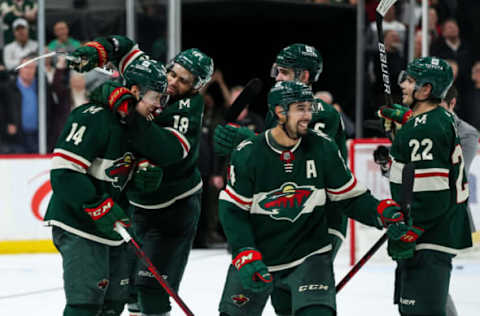 Minnesota Wild (Photo by David Berding/Getty Images)