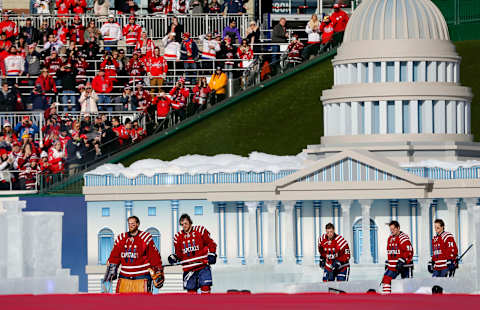 Braden Holtby, Washington Capitals Mandatory Credit: Geoff Burke-USA TODAY Sports