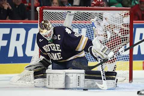 Cal Petersen (40) (Photo by Robin Alam/Icon Sportswire via Getty Images)