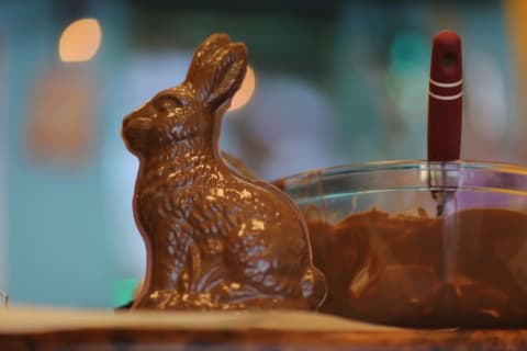 A chocolate bunny