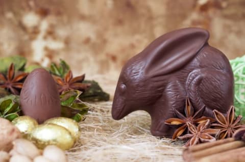 A chocolate Easter Bilby