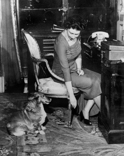 Queen Elizabeth with her dog Susan, circa 1959.