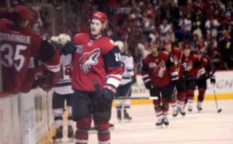 Arizona Coyotes left wing Brendan Perlini (29) celebrates after scoring in Arizona maroon (Joe Camporeale-USA TODAY Sports)