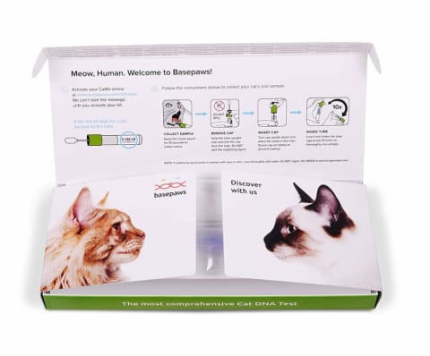 Cat DNA-testing kits on Amazon.