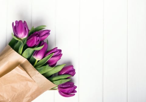 Purple flowers against a white wood background