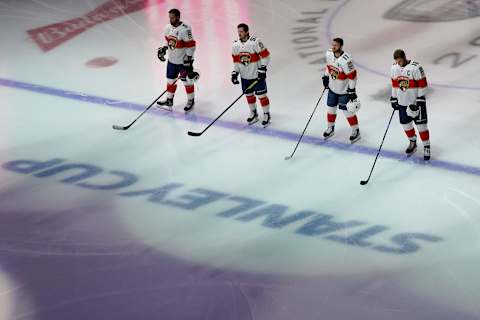 The Florida Panthers. (Photo by Andre Ringuette/Freestyle Photo/Getty Images)