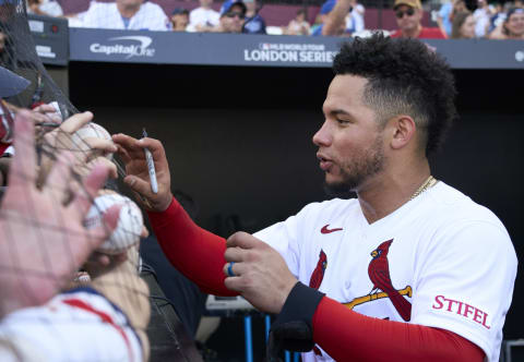 Willson Contreras. Peter van den Berg-USA TODAY Sports