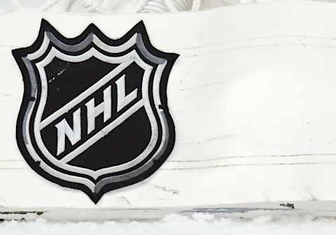 ST. PAUL, MN – MARCH 13: A NHL Shield Logo on the back of the net during a NHL game between the Minnesota Wild and Colorado Avalanche on March 13, 2018 at Xcel Energy Center in St. Paul, MN. The Avalanche defeated the Wild 5-1.(Photo by Nick Wosika/Icon Sportswire via Getty Images)