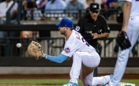 Pete Alonso. John Jones-USA TODAY Sports