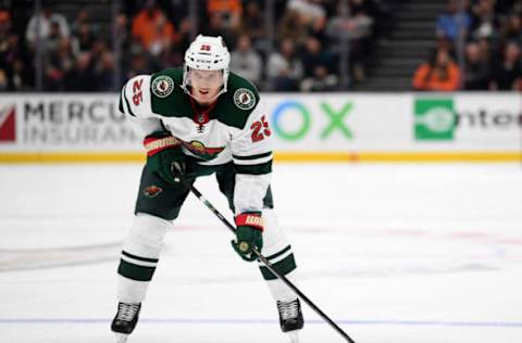 Minnesota Wild, Jonas Brodin #25 (Photo by Harry How/Getty Images)