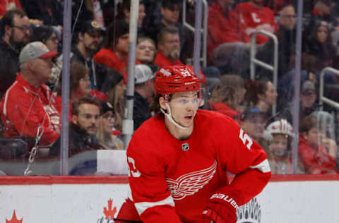 Moritz Seider, Detroit Red Wings (Mandatory Credit: Rick Osentoski-USA TODAY Sports)