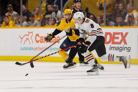 Chicago Blackhawks (Photo by Frederick Breedon/Getty Images)