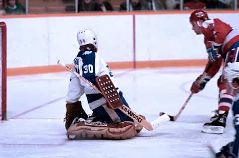 Dave Christian, Washington Capitals (Photo by Graig Abel/Getty Images)