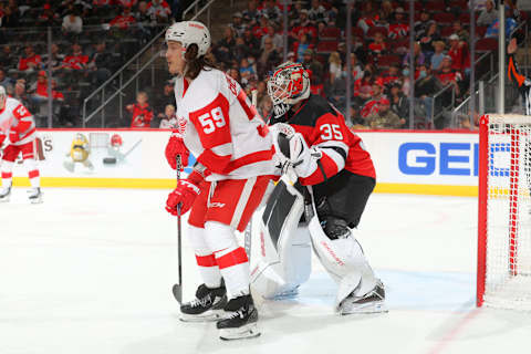 Tyler Bertuzzi #59 of the Detroit Red Wings. (Photo by Rich Graessle/Getty Images)