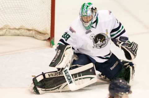 WINDSOR, ON – FEBRUARY 21: Alex Nedeljkovic #39 of the Plymouth Whalers makes a huge blocker save against the Sarnia Sting on February 21, 2014 at the RBC Centre in Sarnia, Ontario, Canada. (Photo by Dennis Pajot/Getty Images)