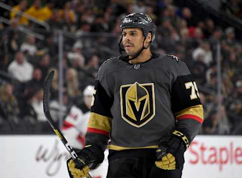 LAS VEGAS, NEVADA – MARCH 03: Ryan Reaves #75 of the Vegas Golden Knights  . (Photo by Ethan Miller/Getty Images)