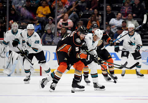 ANAHEIM, CALIFORNIA – SEPTEMBER 24: Korbinian Holzer #5 of the Anaheim Ducks and Alexander True #70 of the San Jose Sharks get tangled going after the puck during the second period in a preseason game at Honda Center on September 24, 2019 in Anaheim, California. (Photo by Harry How/Getty Images)