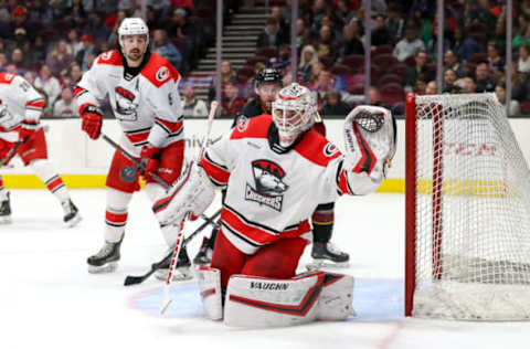 CLEVELAND, OH – APRIL 11: Carolina Hurricanes goalie prospect Alex Nedeljkovic (30) in goal during the second period of the American Hockey League game between the Charlotte Checkers and Cleveland Monsters on April 11, 2019, at Rocket Mortgage FieldHouse in Cleveland, OH. (Photo by Frank Jansky/Icon Sportswire via Getty Images)