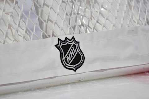 The NHL logo (Photo by Minas Panagiotakis/Getty Images)