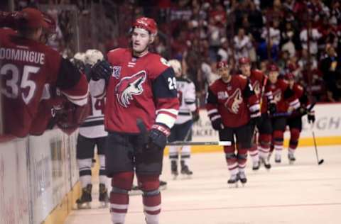 Arizona Coyotes left wing Brendan Perlini (29) celebrates after scoring in Anaheim maroon (Joe Camporeale-USA TODAY Sports)