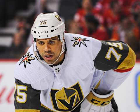 Ryan Reaves of the Vegas Golden Knights in action against the Calgary Flames during an NHL game.