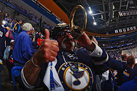 ST. LOUIS, MO – APRIL 25: St. Louis Blues fan celebrates after defeating the Chicago Blackhawks 3-2 Game Seven of the Western Conference First Round during the 2016 NHL Stanley Cup Playoffs at the Scottrade Center on April 25, 2016 in St. Louis, Missouri. (Photo by Jeff Curry/NHLI via Getty Images)