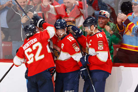 Florida Panthers. (Photo by Joel Auerbach/Getty Images)