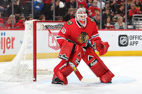 Collin Delia #60 (Photo by Chase Agnello-Dean/NHLI via Getty Images)