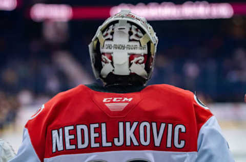 ROSEMONT, IL – JUNE 08: Charlotte Checkers goaltender Alex Nedeljkovic (30) warms up prior to game five of the AHL Calder Cup Finals against the Chicago Wolves on June 8, 2019, at the Allstate Arena in Rosemont, IL. (Photo by Patrick Gorski/Icon Sportswire via Getty Images)