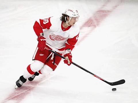 Detroit Red Wings 