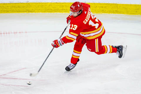 Calgary Flames left wing Johnny Gaudreau (13). Mandatory Credit: Sergei Belski-USA TODAY Sports