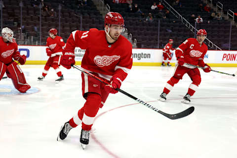 Filip Zadina for the Red Wings. (Photo by Gregory Shamus/Getty Images)