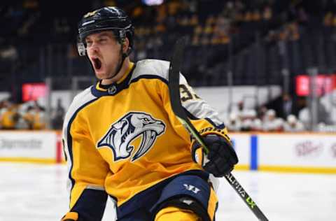 Nashville Predators (Photo Credit: Christopher Hanewinckel-USA TODAY Sports)