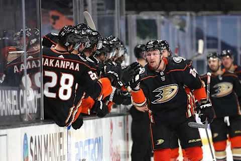 Nicolas Deslauriers #20 of the Anaheim Ducks (Photo by Sean M. Haffey/Getty Images)