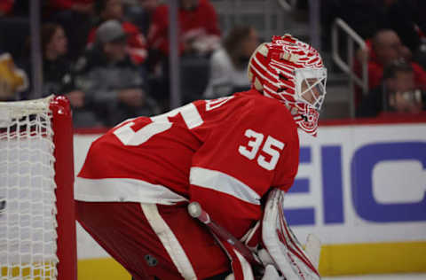 Ville Husso #35, Detroit Red Wings (Photo by Gregory Shamus/Getty Images)