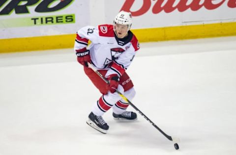 ROSEMONT, IL – JUNE 08: Charlotte Checkers defenseman Jesper Sellgren (32) controls the puck during game five of the AHL Calder Cup Finals between the Charlotte Checkers and the Chicago Wolves on June 8, 2019, at the Allstate Arena in Rosemont, IL. (Photo by Patrick Gorski/Icon Sportswire via Getty Images)