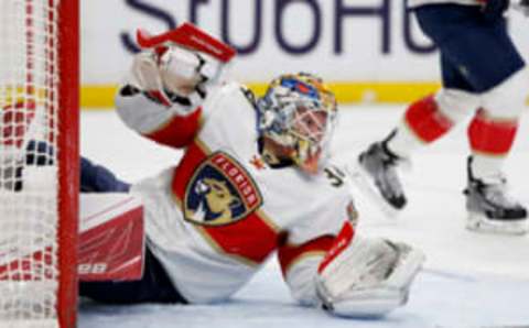 Florida Panthers goalie James Reimer (34) looks for the puck (Timothy T. Ludwig-USA TODAY Sports)