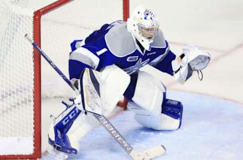 T CATHARINES, ON – OCTOBER 4: Ukko-Pekka Luukkonen #1 of the Sudbury Wolves watches the puck during an OHL game against the Niagara IceDogs at Meridian Centre on October 4, 2018 in St Catharines, Canada. (Photo by Vaughn Ridley/Getty Images)