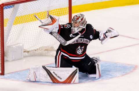 Cayden Primeau #31 of the Northeastern Huskies (Photo by Richard T Gagnon/Getty Images)