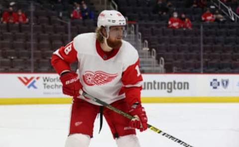 DETROIT, MICHIGAN – FEBRUARY 20: Marc Staal #18 of the Detroit Red Wings skates against the Florida Panthers at Little Caesars Arena on February 20, 2021 in Detroit, Michigan. (Photo by Gregory Shamus/Getty Images)