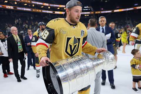 LAS VEGAS, NEVADA – JUNE 13: Ivan Barbashev #49  . (Photo by Bruce Bennett/Getty Images)