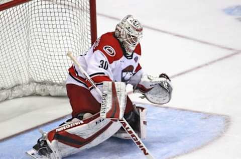 Alex Nedeljkovic, Charlotte Checkers (Photo by Jonathan Daniel/Getty Images)