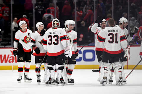 Ottawa Senators. (Photo by G Fiume/Getty Images)