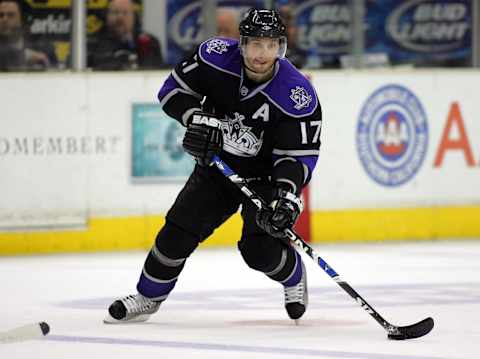 LA Kings (Photo by Victor Decolongon/Getty Images)